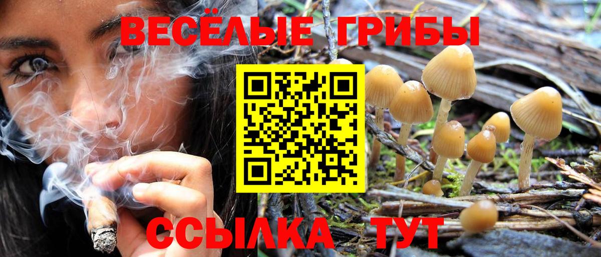 Лениногорск  Псилоцибиновые грибы ЛСД  как найти закладки  Вход с VPN 